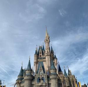 Meet your Posher, Remi